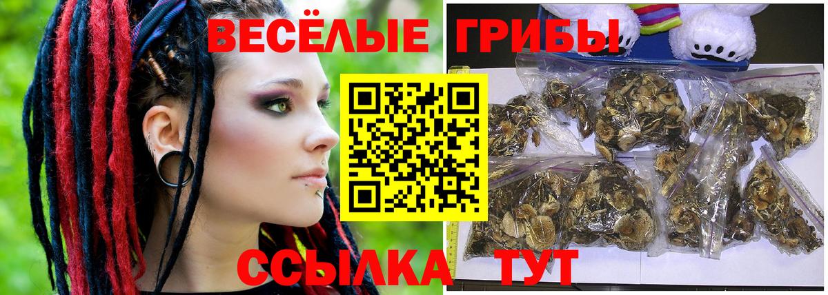 Псилоцибиновые грибы Psilocybe Протвино